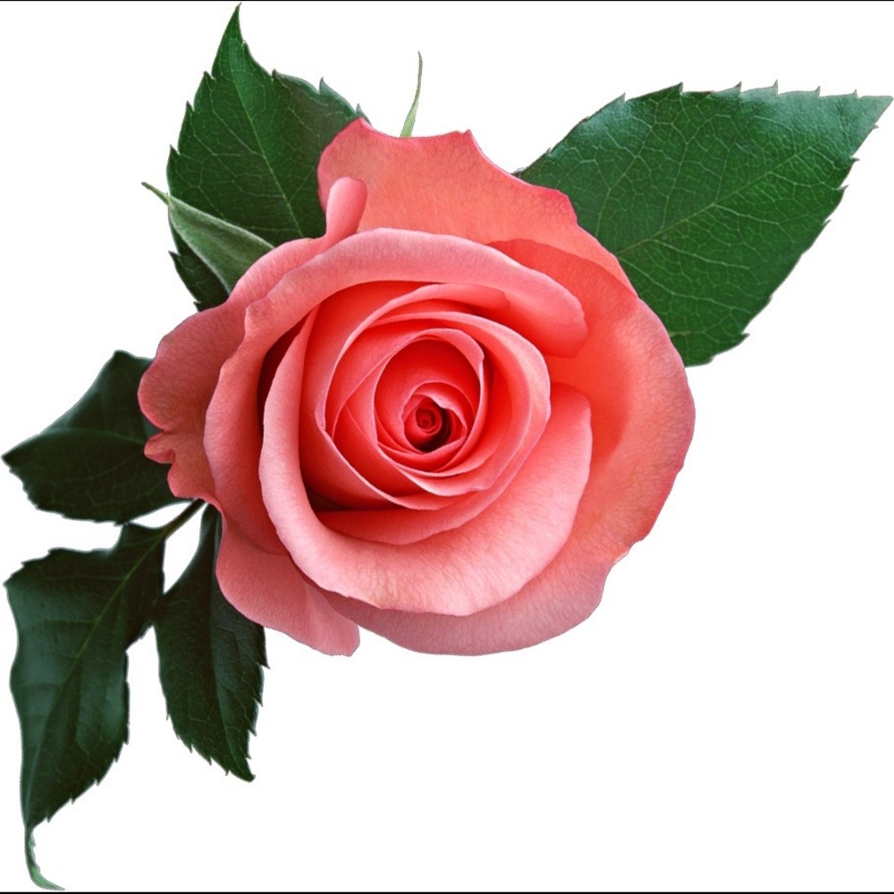 Love pink thank you for stopping by and for supporting my small business